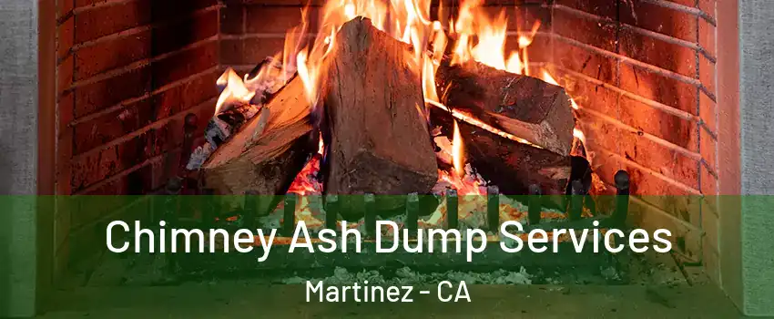  Chimney Ash Dump Services Martinez - CA