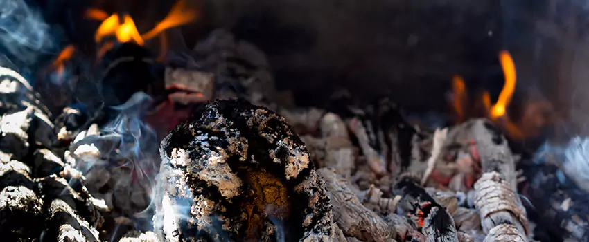 Creosote Removal Experts in Martinez, CA