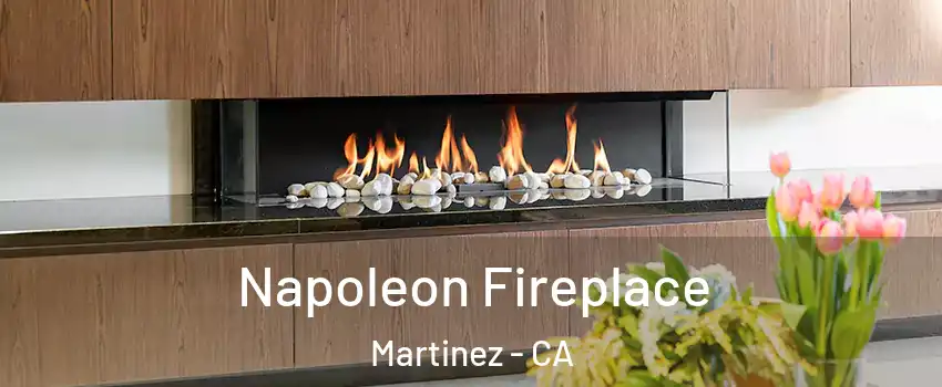  Napoleon Fireplace Martinez - CA