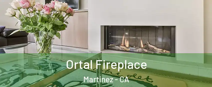 Ortal Fireplace Martinez - CA